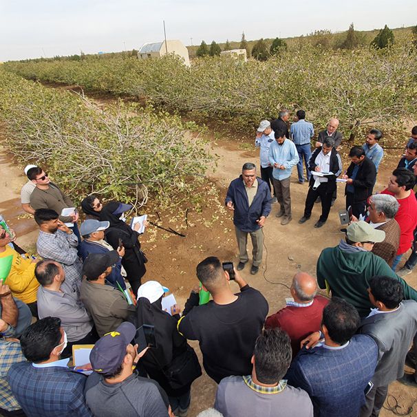 کارگاه علمی کاربردی پیستاط