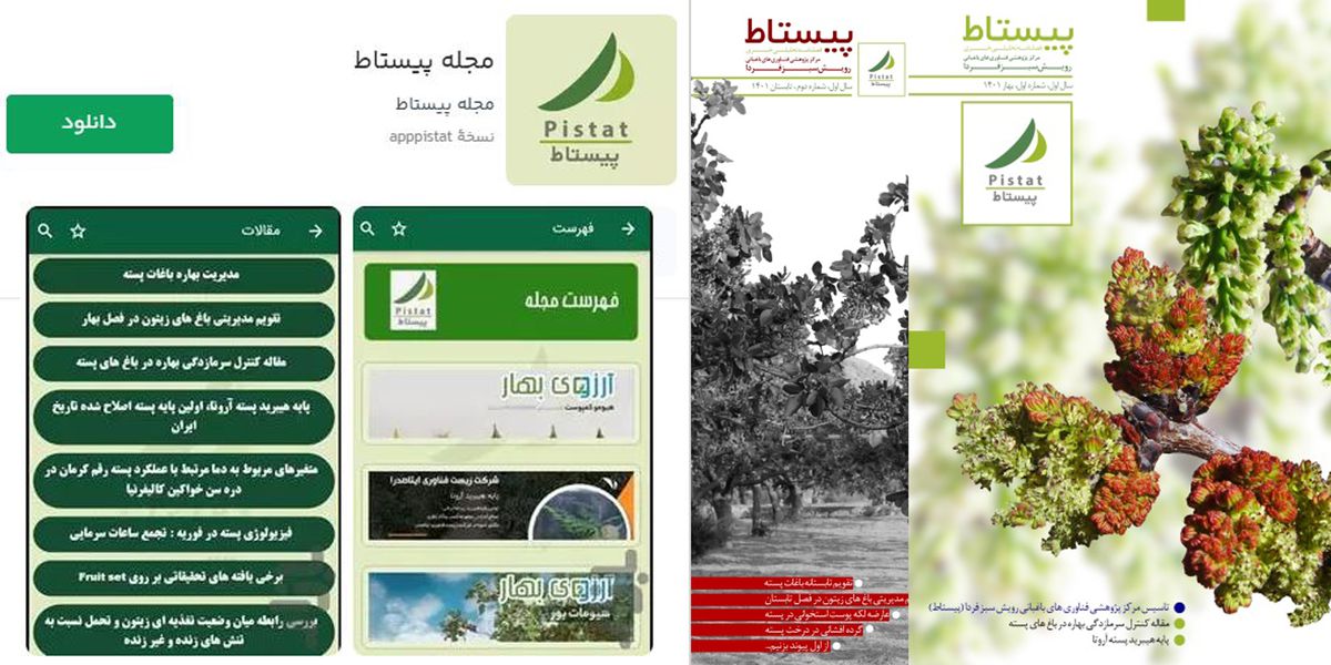 اپلیکیشن مجله پیستاط منتشر شد