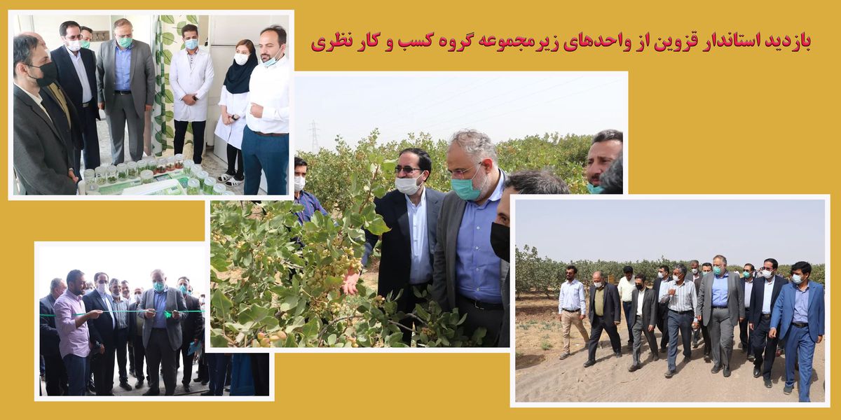 بازدید استاندار قزوین از باغات تولید پسته در بویین زهرا