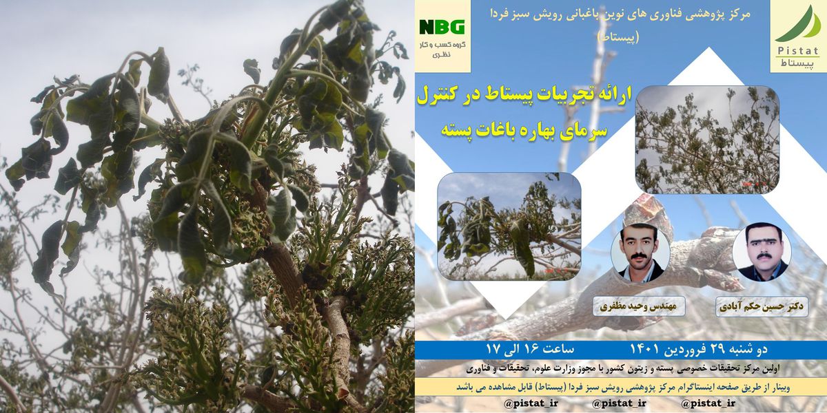 وبینار رایگان ارائه تجربیات پیستاط در کنترل سرمای بهاره باغات پسته