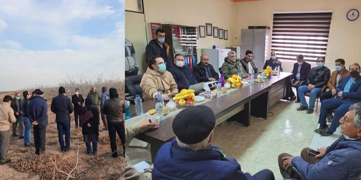 بازدید مسئولان و کارشناسان وزارت جهاد کشاورزی از باغات پسته تات و پاپلی