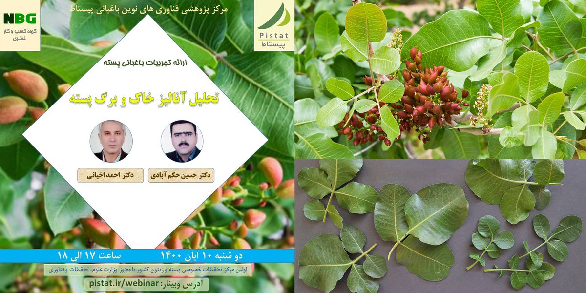 وبینار آموزشی ارائه تجربیات باغبانی پیستاط با موضوع تحلیل آنالیز خاک و برگ پسته