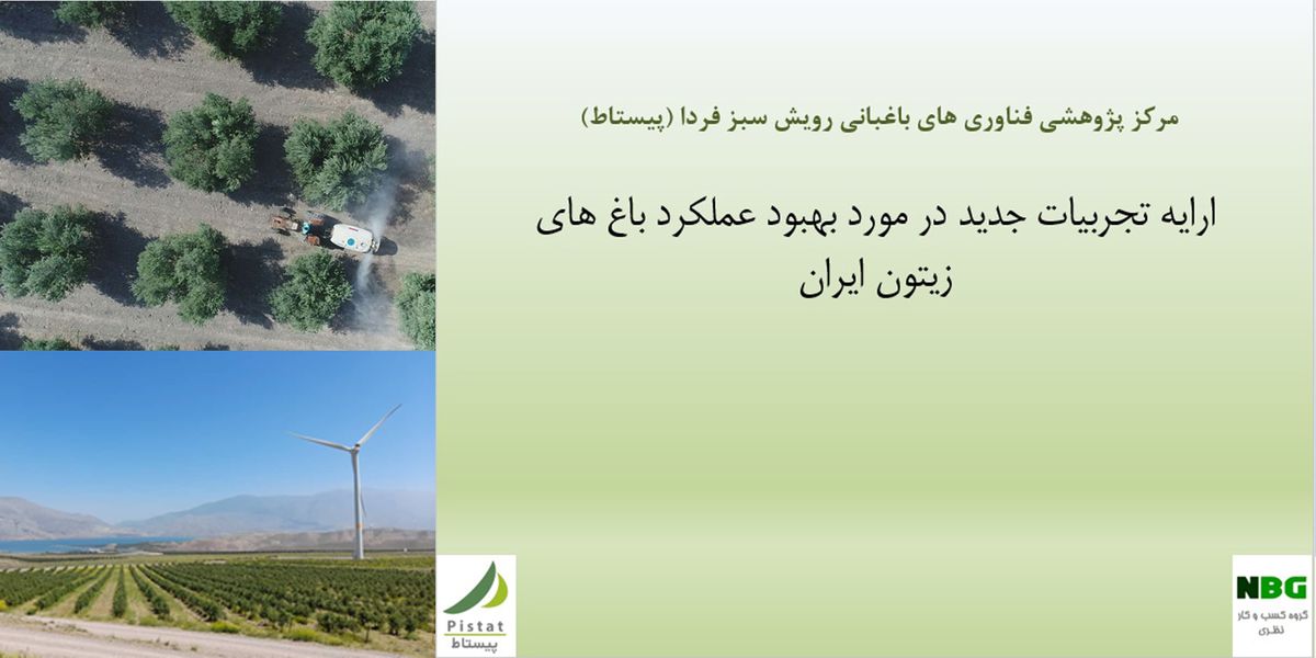 وبینار تجربیات جدید درباره بهبود عملکرد باغ های زیتون برگزار شد