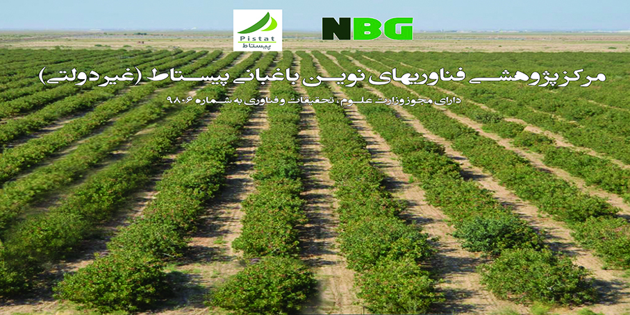 دومین وبینار باغبانی پیستاط تحت عنوان "بور، عنصر فراموش شده در باغات پسته" برگزار شد