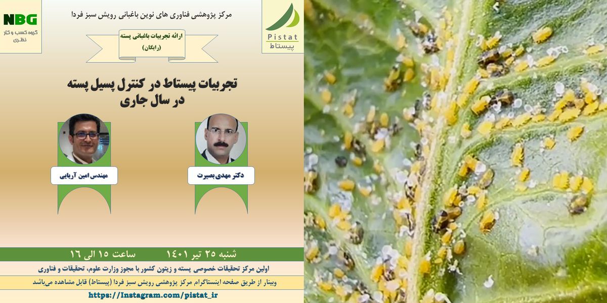 وبینار رایگان ارائه تجربیات پیستاط در کنترل پسیل در باغات پسته
