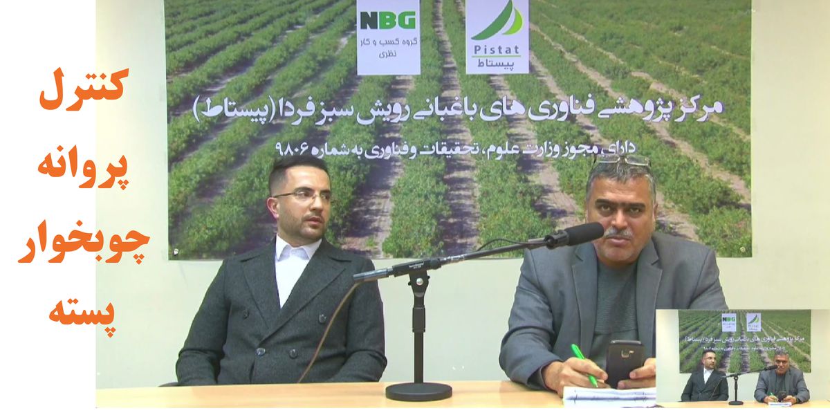 هشتمین وبینار آموزشی پیستاط با موضوع "کنترل پروانه چوبخوار پسته" برگزار گردید