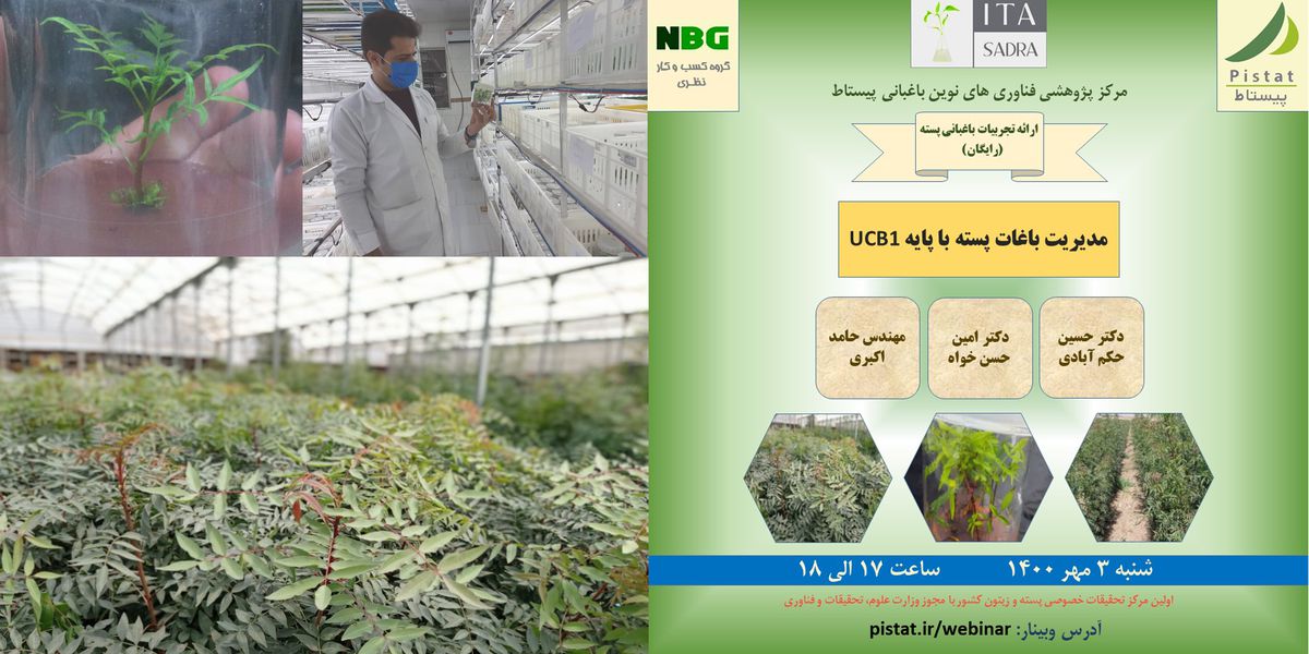 وبینار آموزشی ارائه تجربیات باغبانی پیستاط در رابطه با مدیریت باغات پسته با پایه UCB1