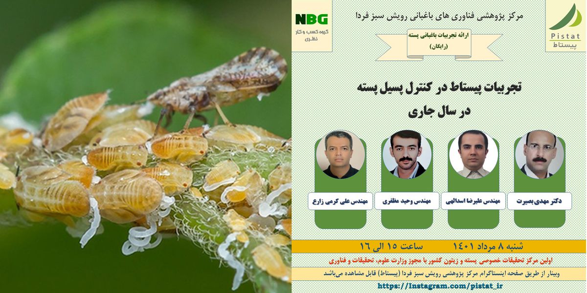 وبینار رایگان ارائه تجربیات پیستاط در کنترل پسیل در باغات پسته