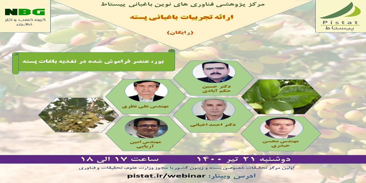 وبینار ارائه تجربیات باغبانی پسته با موضوع بور